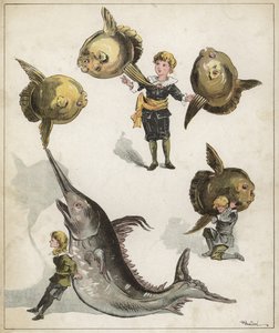 Gimnastyka ryb (chromolitho)